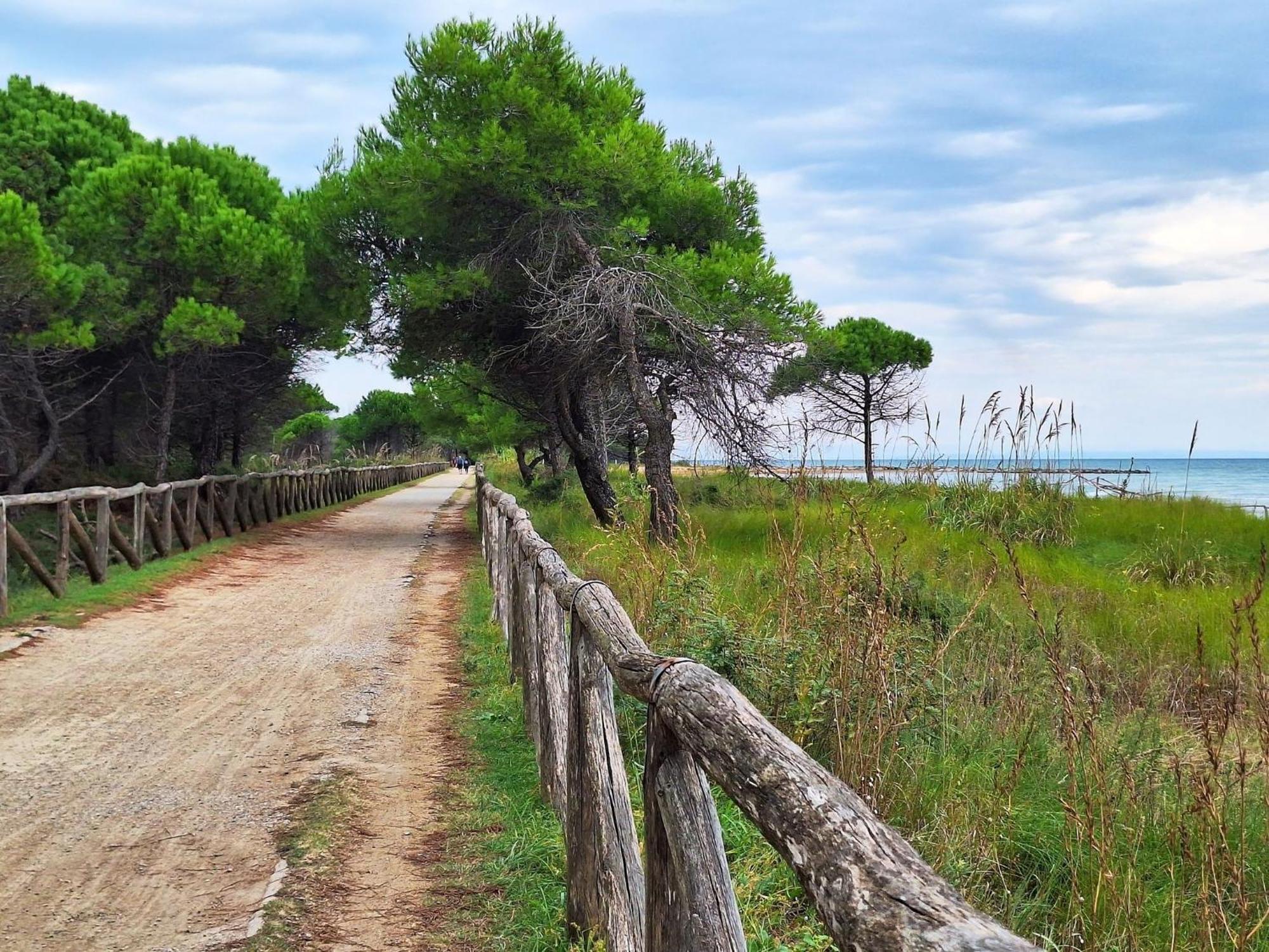 Apartment Enjoy The Breeze In Our Colorful Flat Bibione